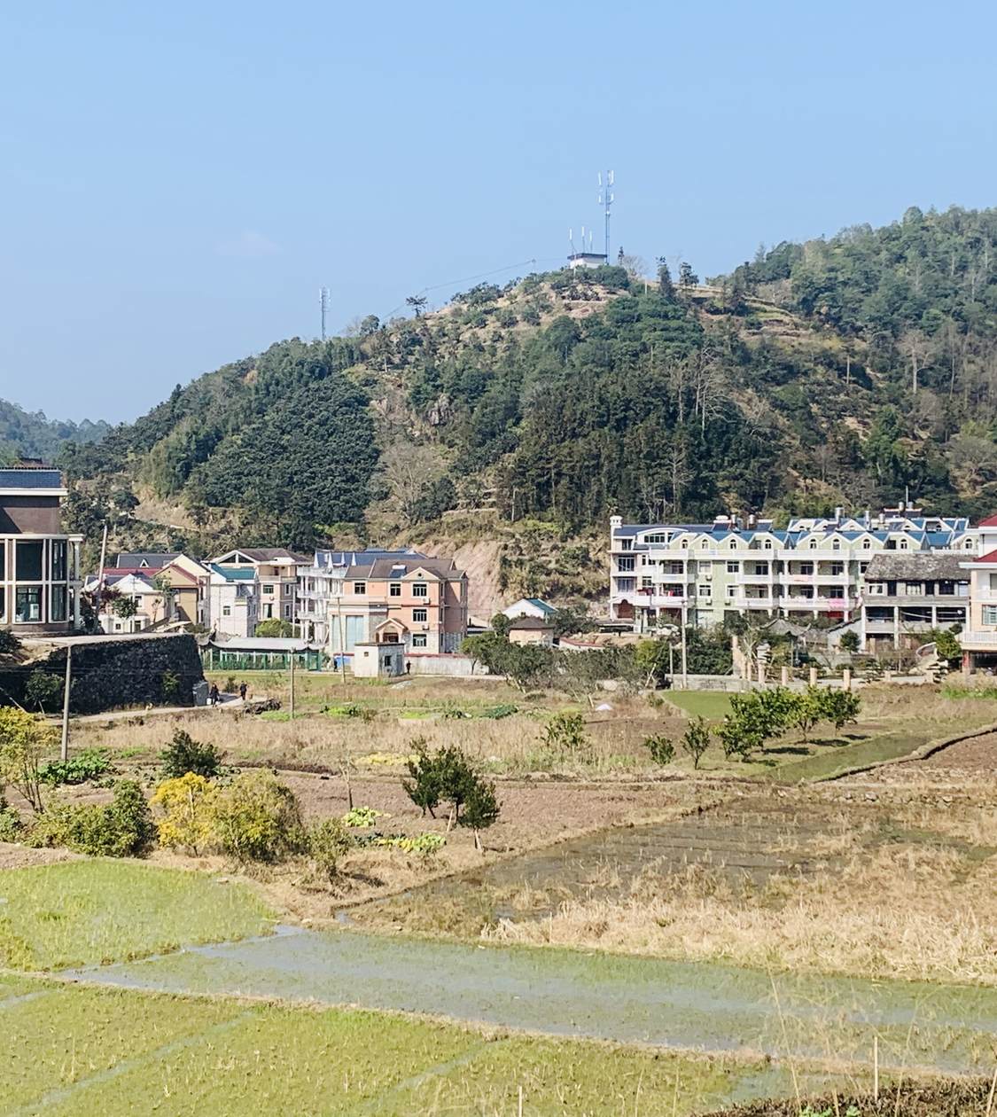 桐岭村民宿