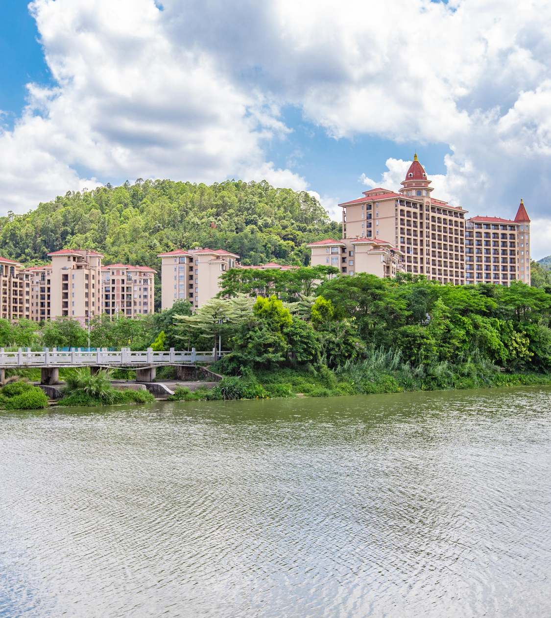 全新山景落地窗高明西岸车站森林生态